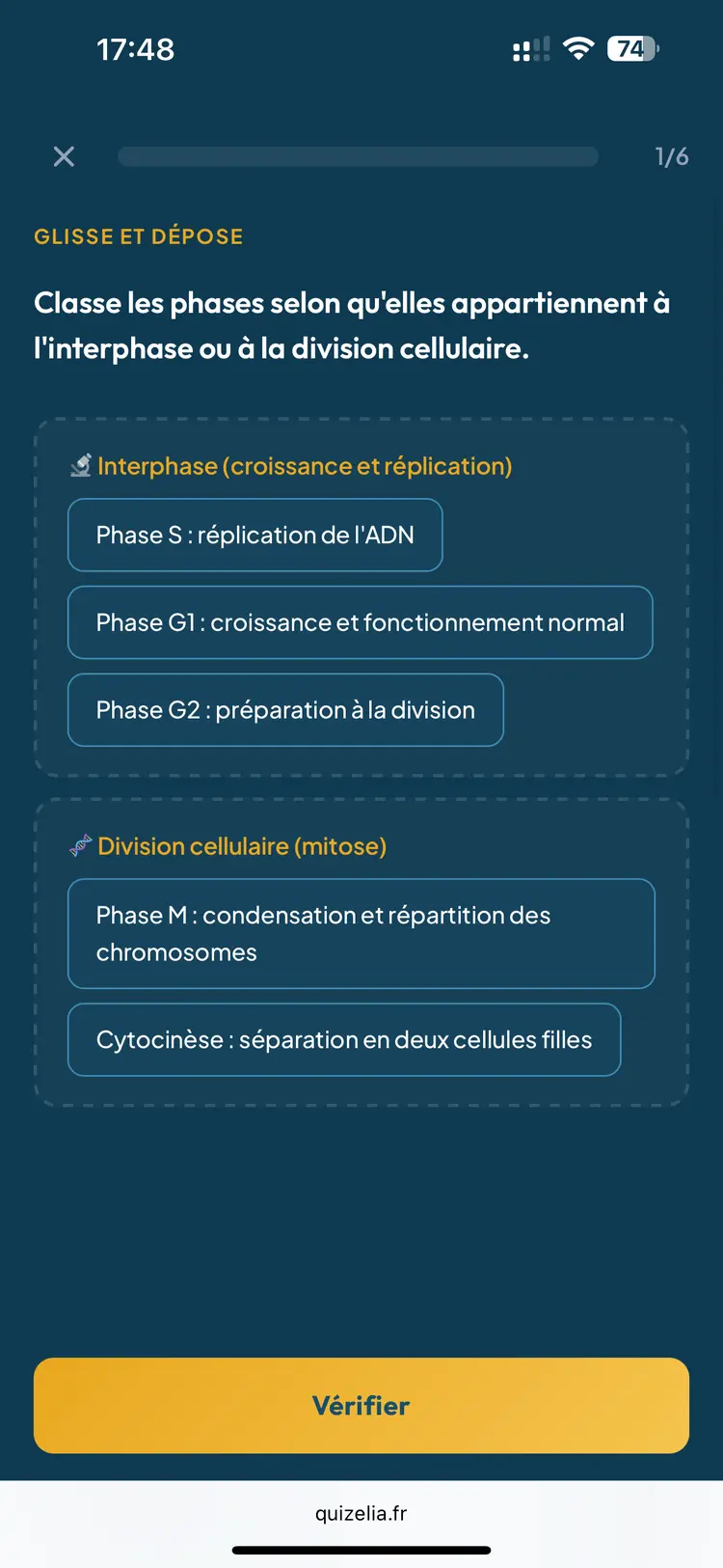 Quiz SVT Première — Glisse et dépose : Classe les phases selon interphase ou division cellulaire